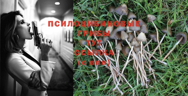 соль курить ск Абаза