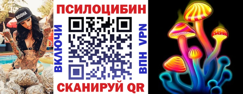 Галлюциногенные грибы Psilocybe  Павловский Посад 