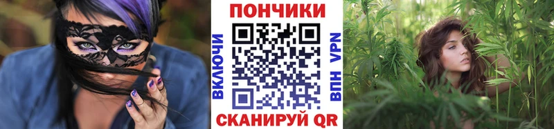 Шишки марихуана семена мега зеркало Павловский Посад